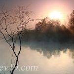 Aube près de la rivière